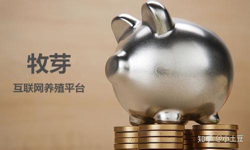 多元理财(多元化投资理财)