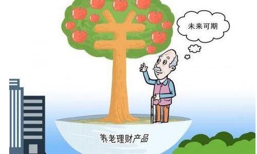 如何理财养老(养老理财来了,你我如何选择)