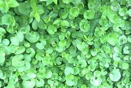 怎么介绍理财(介绍理财产品的开场白)